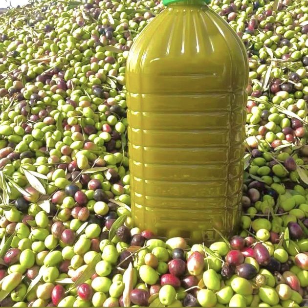 زيت زيتون بكر ممتاز نقي 100 % 🌱